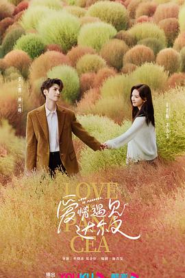 快速网站优化排名软件